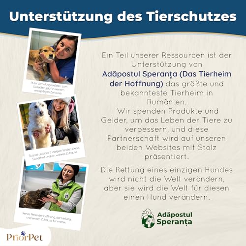 Hunderampe - Hundetreppe für kleine Hunde und große Hunde - Einstellbar 18-53 cm - Für Bett Sofa - Birkenholz - Landeplattform schließt nahtlos an - Rampe Hund Klappbar - Anti-rutsch Einsatz Naturel