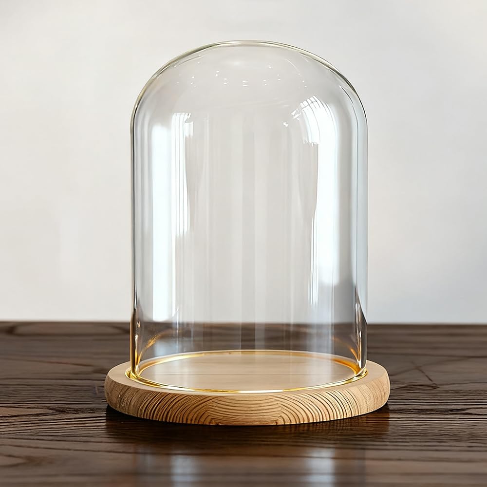 Cloche en verre transparent DuvinDD haut de gamme avec socle lumineux