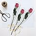 BEISHIDA 100 PCS Single Rose Sleeve Bouquet Bags Plastic Single Flower Wrapping Rose Packaging For Mother's Day Graduation Wedding Birthday Valentine's Day Party (Transparent)