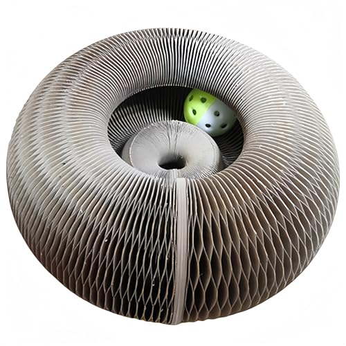 ʔAR[fBIX^C̐܂肽ݎnjJi{[Lp܂ƂAL炩߂̏AqLpC^NeBu^ߋ