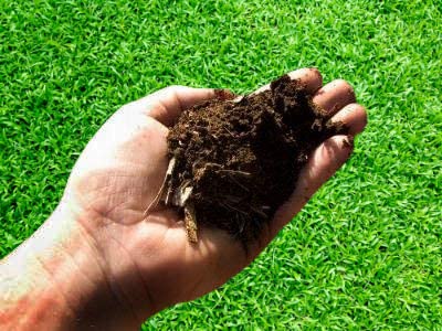 Organic Cow Dung and Compost Manure Fertilizers khaad khad for Plants & Home Gardening Homemade Organic Fertilizer- 1 kg (B0BZKH8KVK) Amazon Price History, Amazon Price Tracker