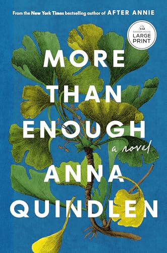 More Than Enough: A Novel