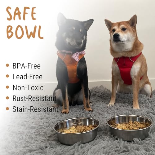 PEGGY11 Stainless Steel Metal Dog Bowls, 900ml, 2 Pack - Image 4