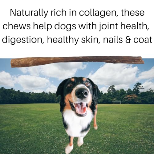 Britten and James 3 Thin Beef Collagen Sticks for Dogs (30cm length). Natural Dental Chew Dog Treat, Long Lasting - Image 3