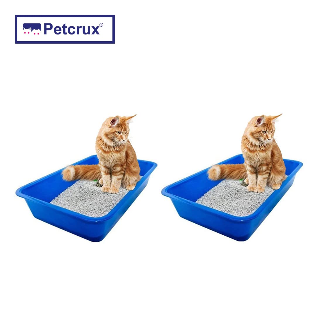PetCrux Exclusive Cat Litter Tray Litter Tray - Pack of 2