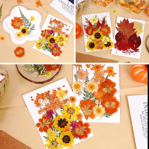 76 piezas flores secas prensadas para manualidades miniatura 3