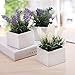 MyGift Set of 3 Artificial Purple and White Plants in White Textured Ceramic Pots/Faux Flower Tabletop Home Decor