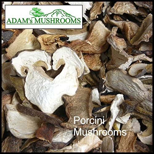 Adam's Mushrooms, Pacific Northwest Wild Dried Porcini Mushrooms (Boletus Edulis), Wild Foraged Dried Mushrooms For Cooking "Penny Bun", 0.8 Oz (Pack Of 2)+Includes-Free Rhino Fine Foods Basil .071Oz #TOP2