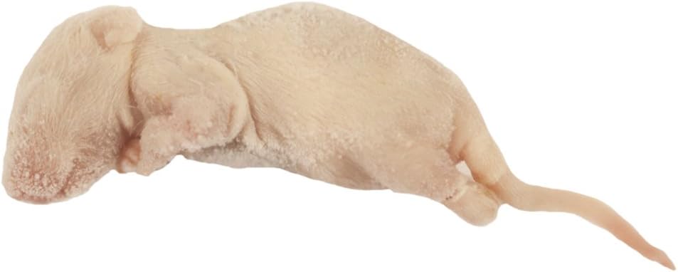 Frozen Mice - Fluffs 4-6g - Pack of 10
