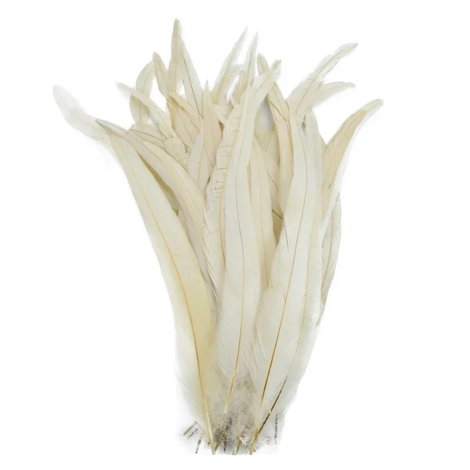 50 pièces/lot de plumes de poulet colorées, grandes plumes de poulet noires, accessoires de coq, décorations en plumes(White,14-16inch 35-40cm)