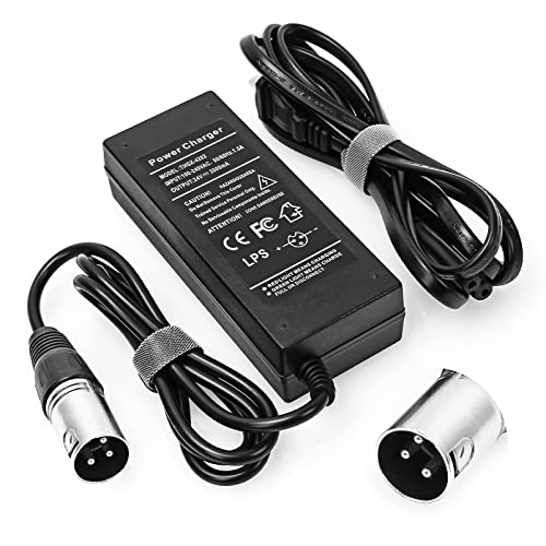 Amazon Best Sellers Best Scooter Batteries & Battery Chargers