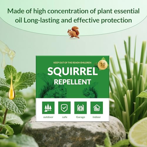 Image of Squirrel Repellents, Chipmunk Repellent Outdoor, Mint Squirrel Repellents for Attic, Natural Squirrel Deterrent, Keep Rodents Out of Car Engines Garden,10P
