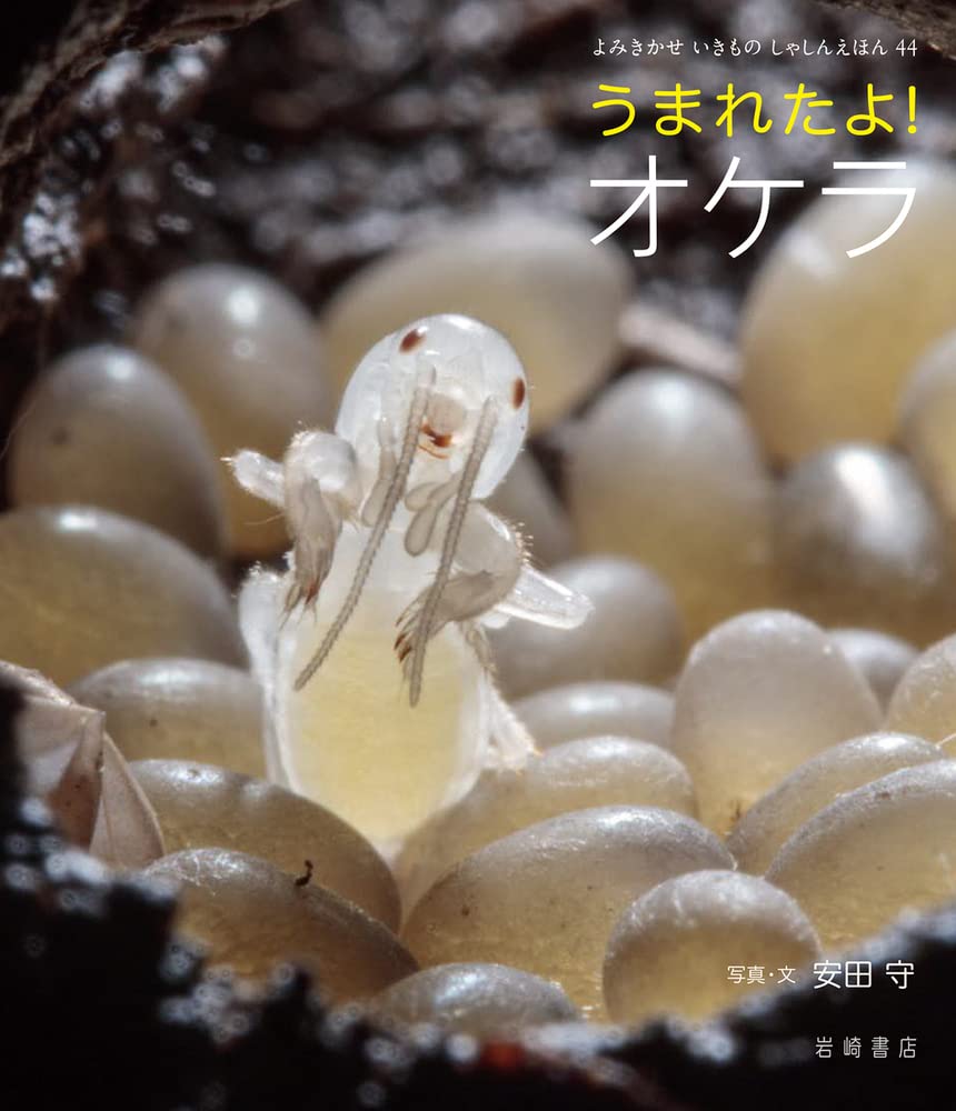 セミコンプ　イジンデン　1〜4弾　オマケ付き 楽天市場】【大感謝祭限定 最大p43倍&3年保証＋ケアセット付＋α