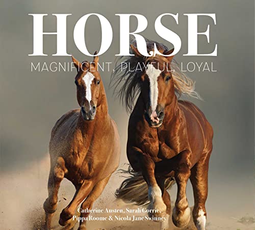 Horse: Magnificent