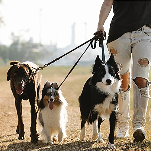 Hundeleine Leine, 3-in-1 Hundeleine, Hundeleine Nylon, Hund Kette Leine, Anti-Zieh Haustier Hund Führen Leine Kette für Gehen Trainieren Joggen, für Mittlere, Kleine Hunde, Mehrere Haustiere