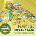 Cellulose: A Plant Cell Biology Game | Mensa Recommended Strategic & Entertaining Game to Learn Photosynthesis, DNA & Biochemistry | Educational STEM Board Game for Families, Students & Teachers