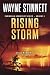 Rising Storm: A Jesse McDermitt Novel (Caribbean Adventure Series Book 11)