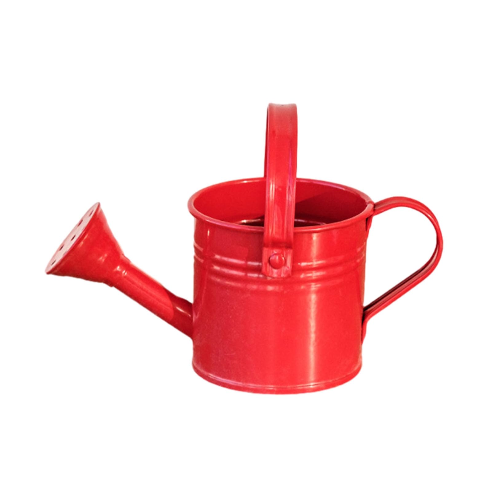 Rikuuui Metal Watering Can with Sprinkler Head Long Spout Watering Pot for Indoor Gardening Tool Small Size Iron Plant Care Equipment Home Balcony Terrace Potted Plants Red
