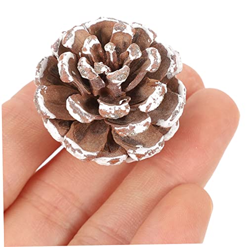 Set 5 conos de pino secos para decoración y manualidades miniatura 5