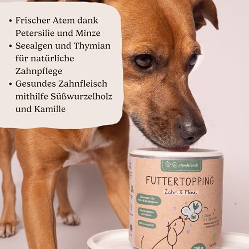 Hunderunde – Futtertopping Zahn & Maul 250g – natürliche Maulhygiene & frischer Atem I Algen Kräuter Petersilie Pfefferminze Thymian Anis