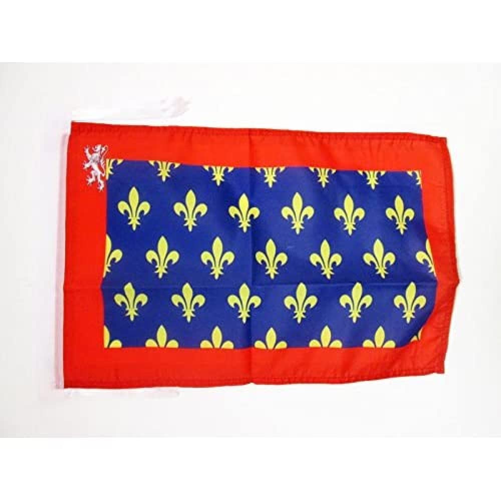 AZ FLAG - French Province of Maine Flag - 18'' x 12'' - 100% Polyester France - County of Maine Small Banner with Two Cords - Fade Resistant - Vivid Colors - 18x12 in - 45x30 Cm โ image 1
