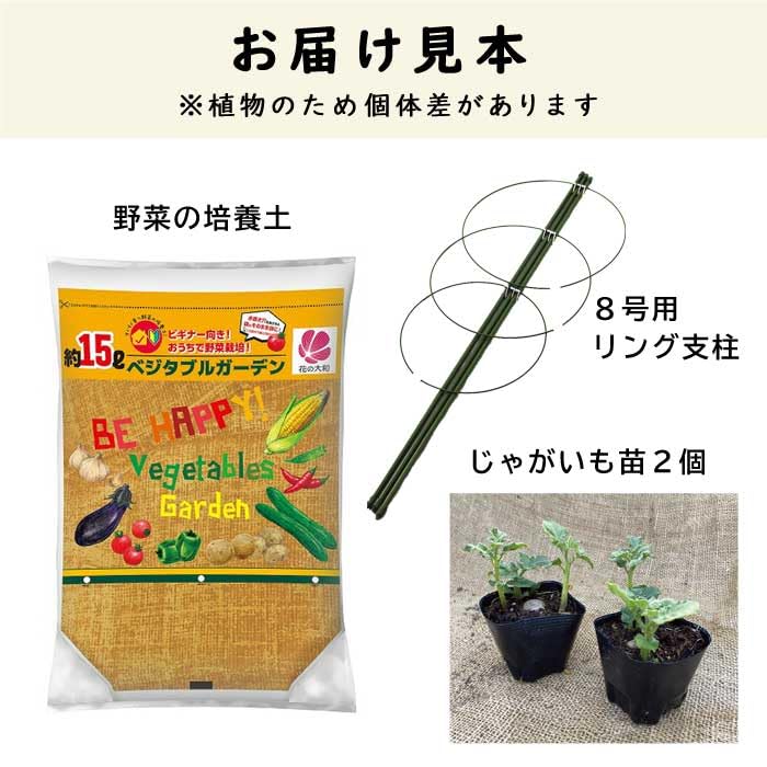 ✨じゃがいも農家さま専用✨ _1024_220608220619.jpg