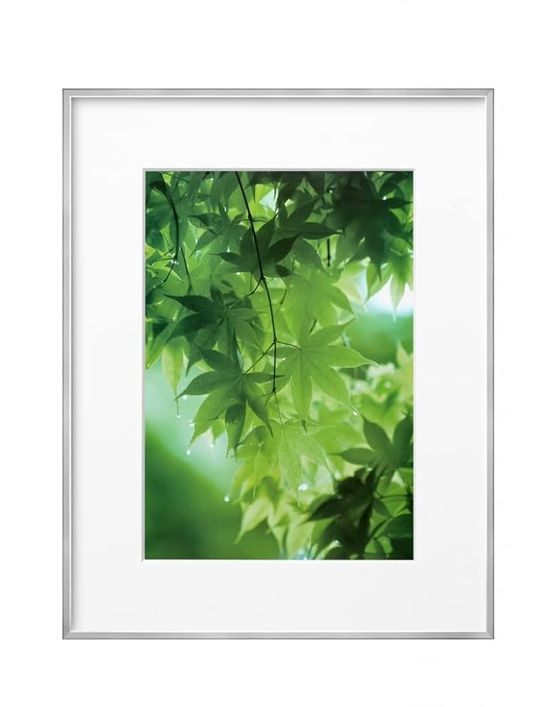 風景画 シルバーフレーム 大きめ 樹脂製額縁 ZEROフレーム GA-01 A4サイズ ナチュラル - ハクバ