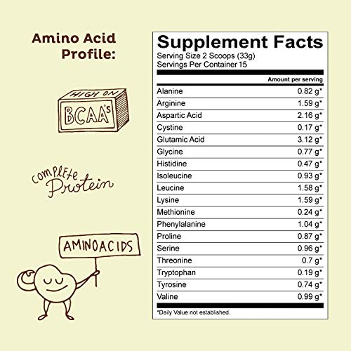 KOS Organic Plant Based Protein Powder – Raw Organic Vegan Protein Blend, 1.3 Pound, 15 Servings (Chocolate)