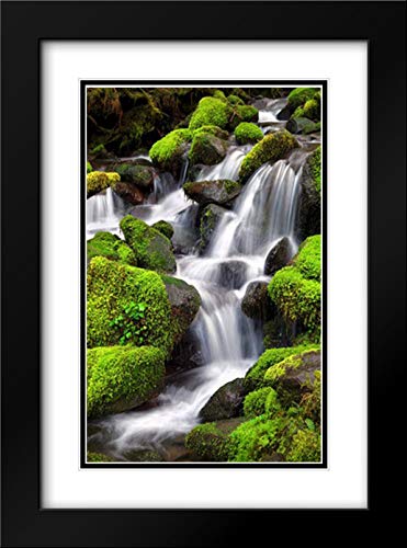 Taylor, Douglas 28x37 Black Modern Frame and Double Matted Museum Art Print Titled Trailside Waterfall II