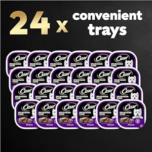 CESAR-Adult-Wet-Dog-Food-Classic-Loaf-in-Sauce-Grilled-Chicken-Flavor-35-oz-Easy-Peel-Trays-Pack-of-24 - Cucciolini Doodles   CESAR-Adult-Wet-Dog-Food-Classic-Loaf-in-Sauce-Grilled-Chicken-Flavor-35-oz-Easy-Peel-Trays-Pack-of-24