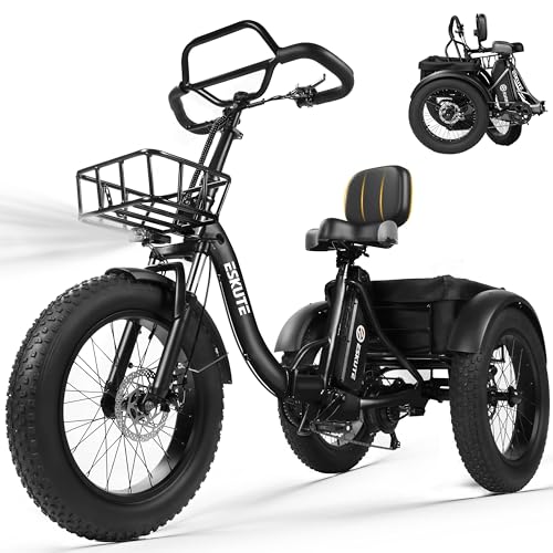 ESKUTE T300 Pro Tricycle électrique adulte batterie 998.4Wh noir