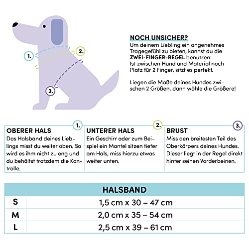 STUCH Hundehalsband - verstellbares und gepolstertes Nylon Hunde Halsband - Für kleine, mittlere und große Hunde, Farbe:Flieder, Größe:M (2,0cm x 34-55cm)