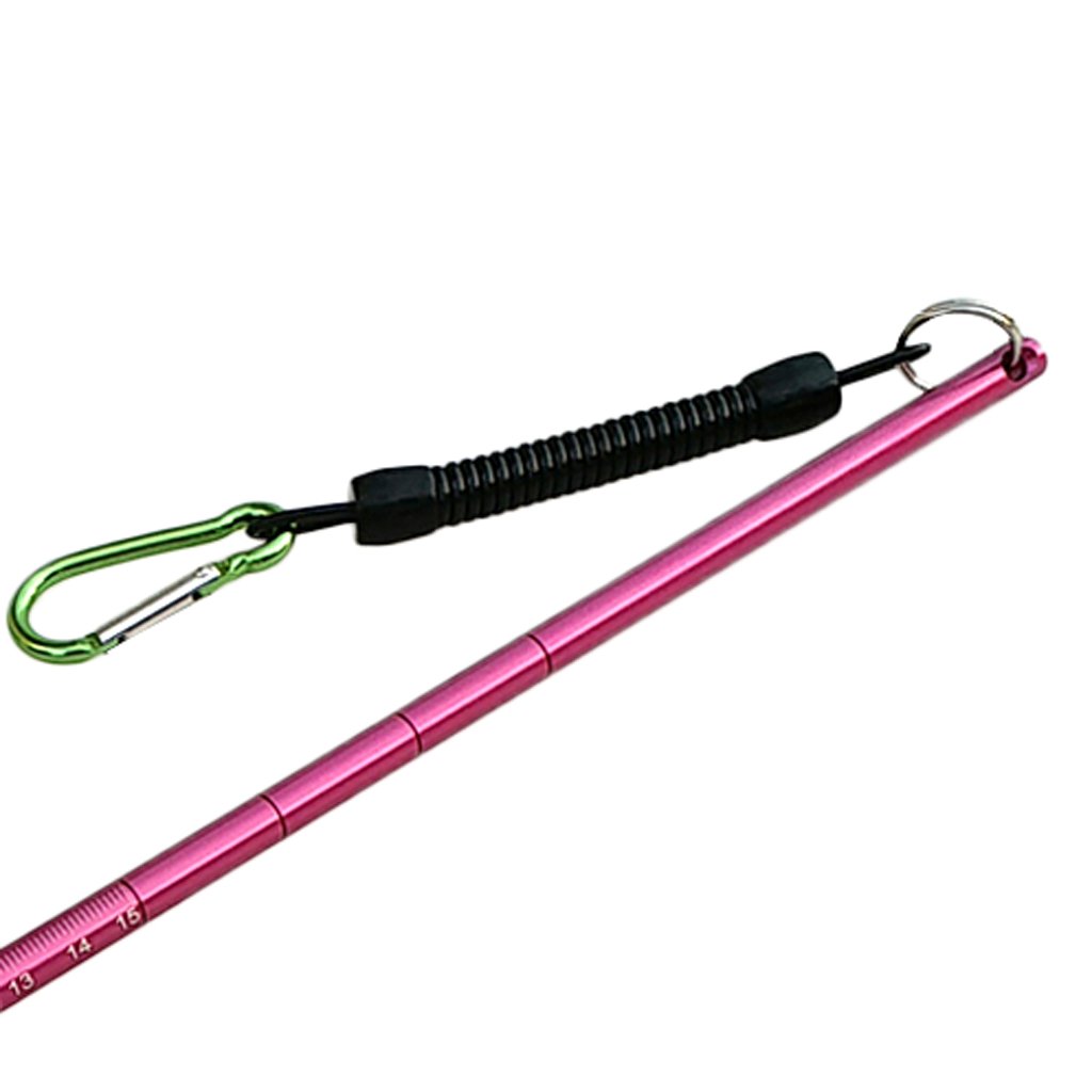 D DOLITY Aluminium Riffstab Taucher Zeigestab mit 34 cm Spiralverlängerung bis 65cm Karabinerhaken für Tauchen Schnorcheln Unterwasser Sport - Rose Rot