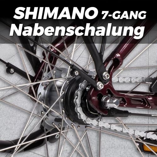 SAXONETTE E Bike Damen 28 Zoll mit Rücktrittbremse und nabenschaltung, Elektro Fahrrad Erwachsene mit 36V 13Ah BMS Akku, 7 Gang Pedelec mit Federgabel, Ebikes mit Gepäckträger für Damen und Herren