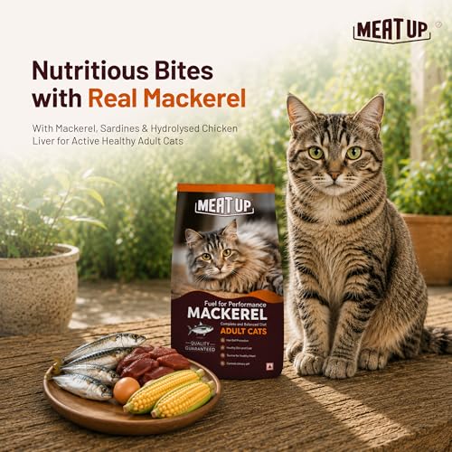 Image of Meat Up Adult Dry Cat Food Total 2.4Kg | Mackerel Flavour | Supports Urinary pH Balance | Reduces Hairball Formation | Promotes Skin & Coat Health | Taurine for Cardiac Support