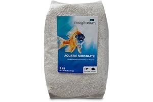 Imagitarium 5lb White Play Sand – Safe and Non-Toxic for Kids, Fun...