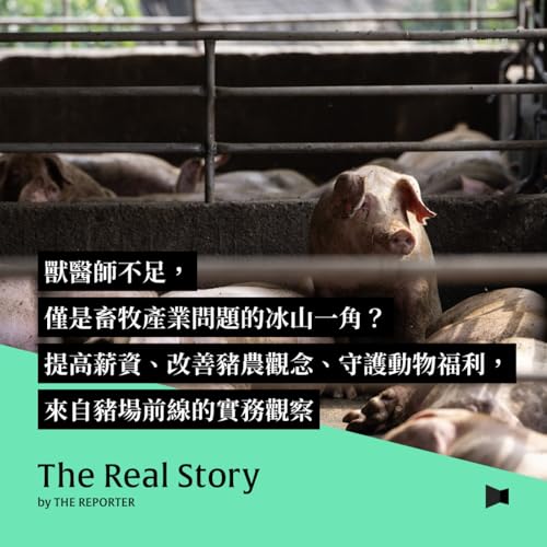 獸醫師不足，僅是畜牧產業問題的冰山一角？提高薪資、改善豬農觀念、守護動物福利，來自豬場前線的實務觀察