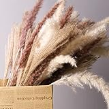 Mudysson 16.92' Dried White Pampas Grass 15 Pcs|Brown Dried Flower 15 Pcs|30 Pcs Natural Dried Reed,...