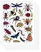 Insect Bug Butterfly Scrapbook Stickers for Kids (10 Sheets)