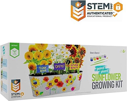 Paint & Plant Sunflower Growing Kit for Kids - Christmas Gift for Boys & Girls Ages 6-12 Year Old Toys & Crafts - Kid Gardening Set Includes Everything to Grow a Garden - Child STEM Gifts for Children