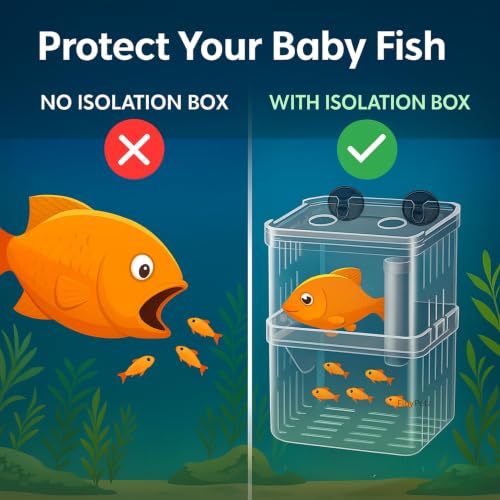 Image of Double Deck Aquarium Breeding Box (Large, 13x10x7 cm) Acrylic Fish Fry Isolation Tank | Strong Suction Cup Breeder Box for Guppy, Molly, Betta | Safe Baby Fish Protection & Quarantine