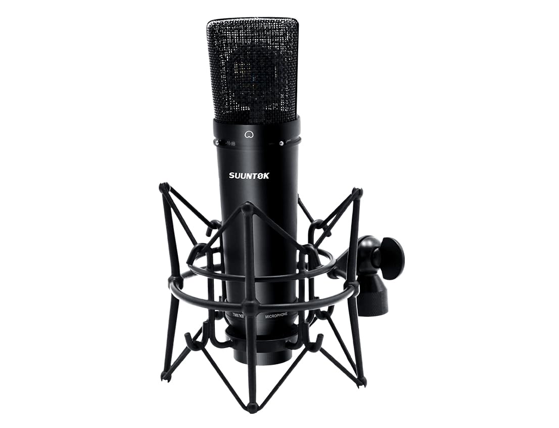 XLR Microphone, Professional Condenser Microphone with 34mm Large Diaphragm, Cardioid Studio Recording Mic Computer Gaming PC TM87KB Mic Kit for Singing, Podcasting, YouTube (Black)