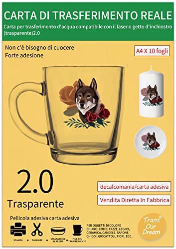 TransOurDream Pellicola per vetrini ad acqua a getto...