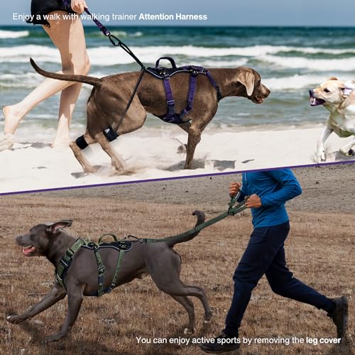ANAFNI Easy Walk Hundegeschirr für große Hunde, strapazierfähig, taktisches Hundegeschirr mit Griff, einfache Kontrolle und Training, bessere Leinenmanieren (Moosgrün, Größe L)