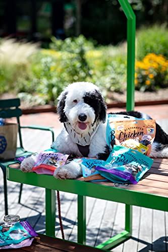 Pet Jerky Factory Premium Dog Treats | 100% Human Grade | USA Made | Grain Free | Beef and Banana, 12 oz. - Image 7