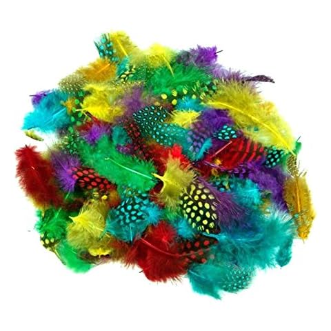 28g Pack of Bright Spotted Feathers Cover