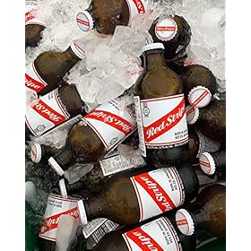 Grab a Case of Red Stripe Lager: Enjoy 24 Refreshing 440ml Cans!