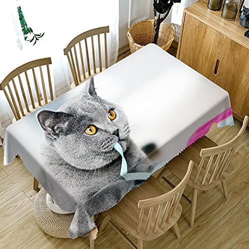 HERMES テーブルクロス 動物柄 Amazon｜3Dいたずら猫動物柄テーブルクロス、防水・防油テーブルクロス