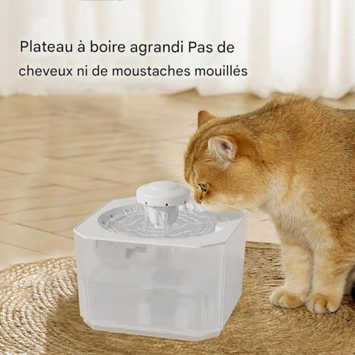 Distributeur d'eau pour chien et chat d'intérieur antidérapant 2500ml