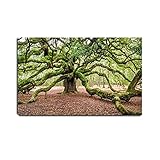 VIUBGCPS Canvas Print Pictures Wall Art Painting Angel Oak Tree Johns Island Charleston South...